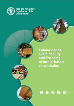 Enhancing the sustainability and financing of forest-based value chains Enhancing the sustainability and financing of forest-based value chains