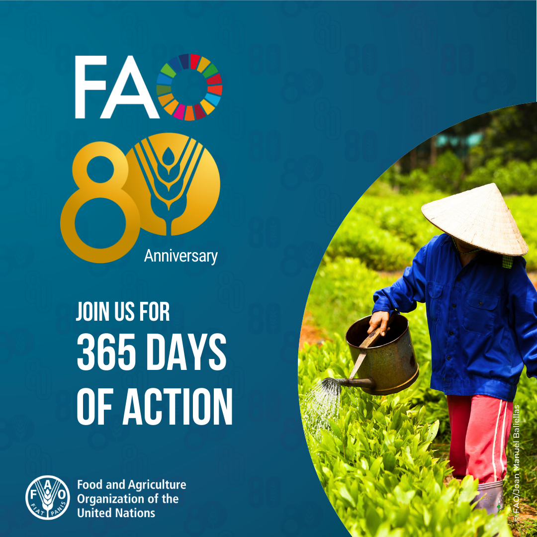 FAO 80th anniversary