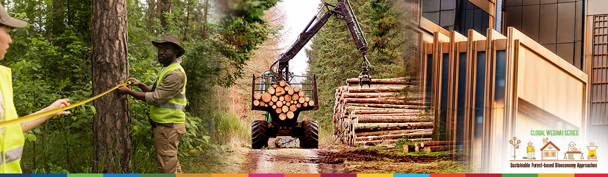 From forest to market Advancing forest-based bioeconomy solutions to ensure resource supply meets growing demand From forest to market Advancing forest-based bioeconomy solutions to ensure resource supply meets growing demand