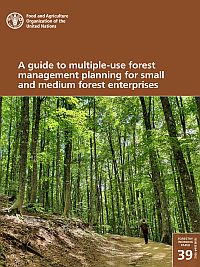 Guide to multiple-use forest management planning for small and medium forest enterprises