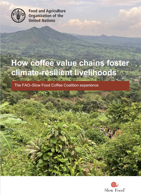How coffee value chains foster climate-resilient livelihoods How coffee value chains foster climate-resilient livelihoods