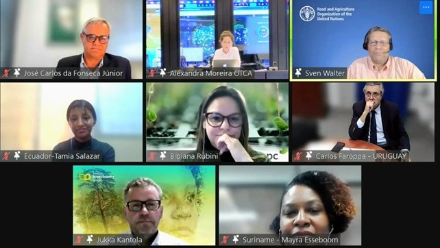 Exploring pathways to foster a sustainable forest-based bioeconomy for Latin America and the Caribbean Exploring pathways to foster a sustainable forest-based bioeconomy for Latin America and the Caribbean