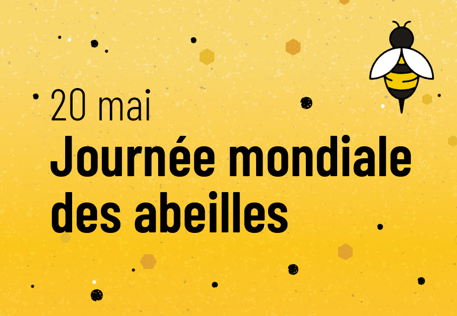 WebButton_WBD25_FR WebButton_WBD25_FR