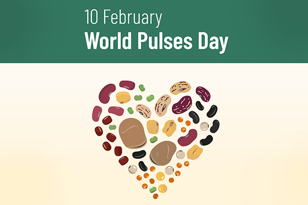 World Pulses Day Communication Toolkit World Pulses Day Communication Toolkit