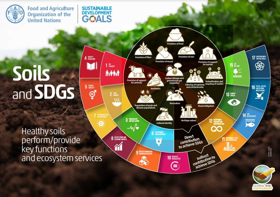 Soils and the SDGs