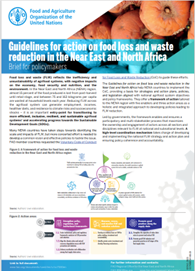 Guidelines brief EN