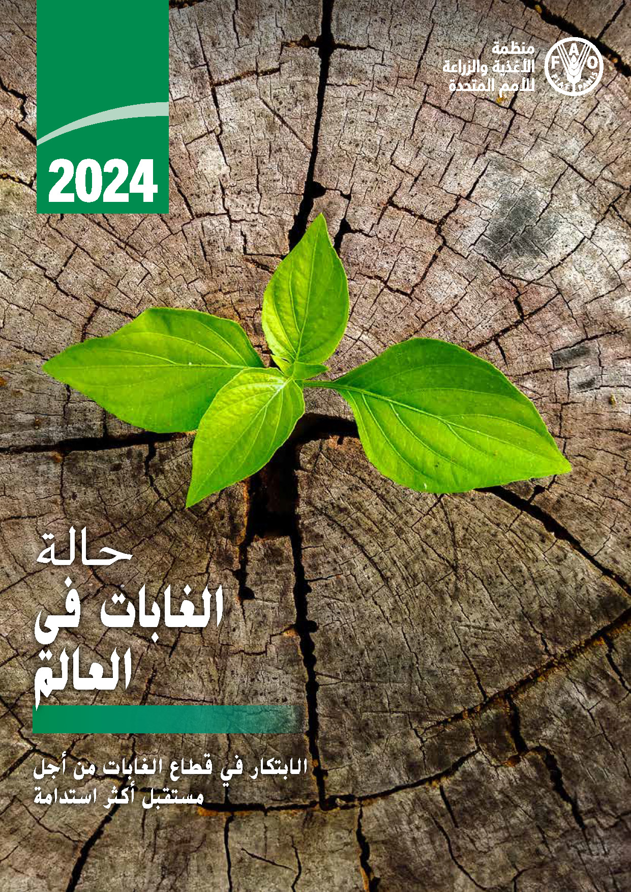 حالة الغابات في العالم 2024 الابتكار في قطاع الغابات من أجل مستقبل أكثر استدامة حالة الغابات في العالم 2024 الابتكار في قطاع الغابات من أجل مستقبل أكثر استدامة
