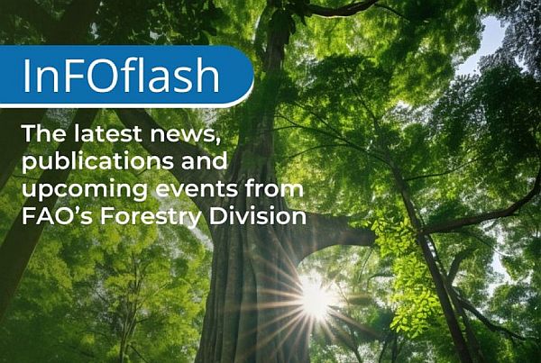 InFOflash newsletter