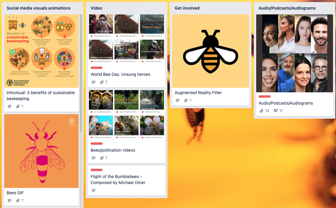 World Bee Day 2023