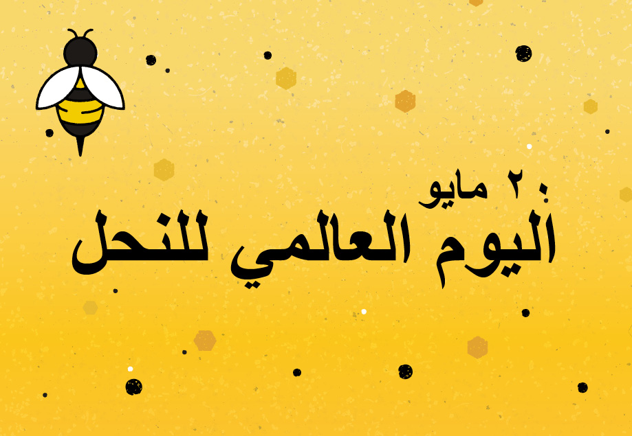 WebButton_WBD25_AR WebButton_WBD25_AR