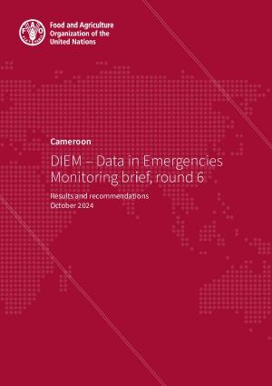 Diem - brief round 6 cover - cd3763en.pdf DIEM 6