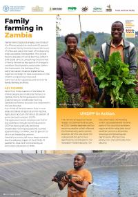 Family Farming in Zambia